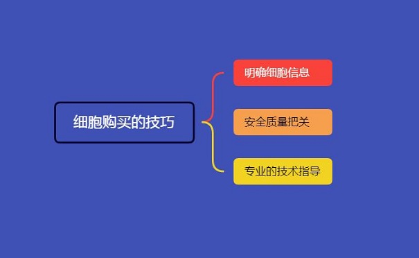 細胞購買的技巧有哪些？