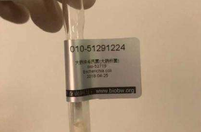 ATCC菌種的傳代方法以及保存時常見的問題介紹