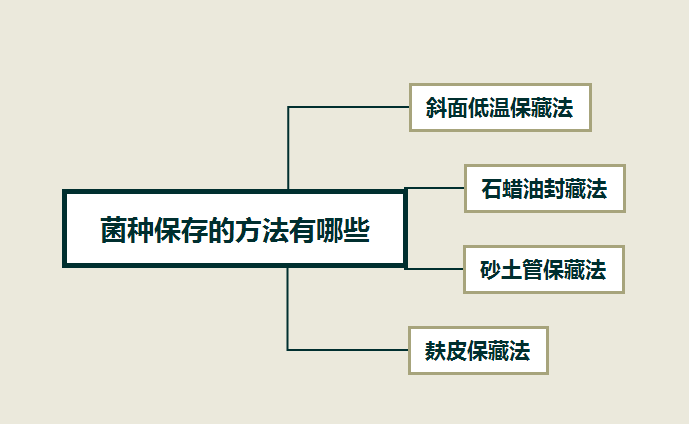 菌種的培養條件以及保存方法介紹