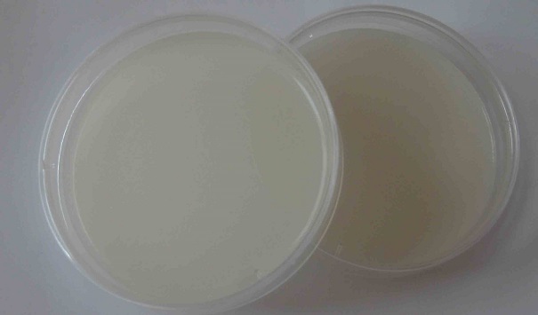 微生物培養基有哪些用途？這些因素影響它的使用時間！