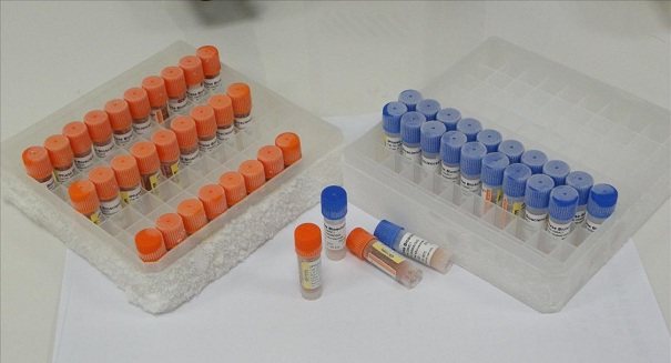 生物指示劑的參數要怎么測定？它的應用詳情也一起告訴你！